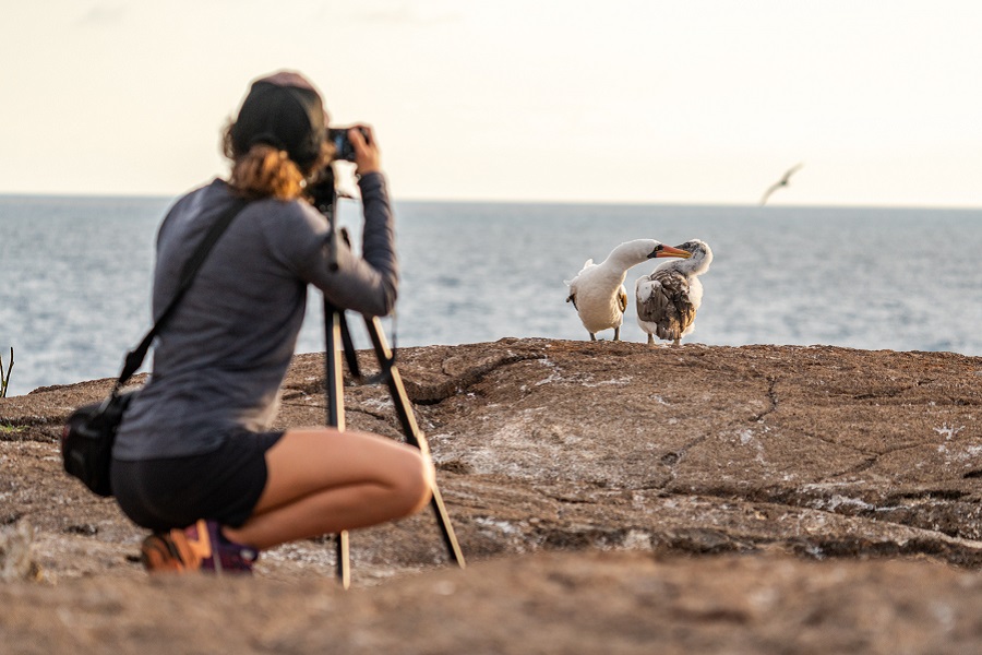 galapagos the birdwatching and natural laboratory of the world