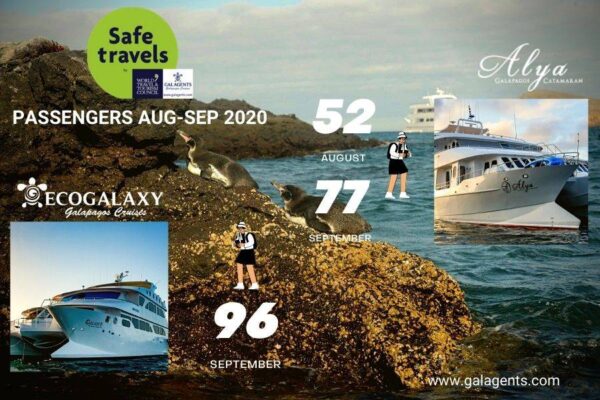 safely travels galagents galapagos cruises