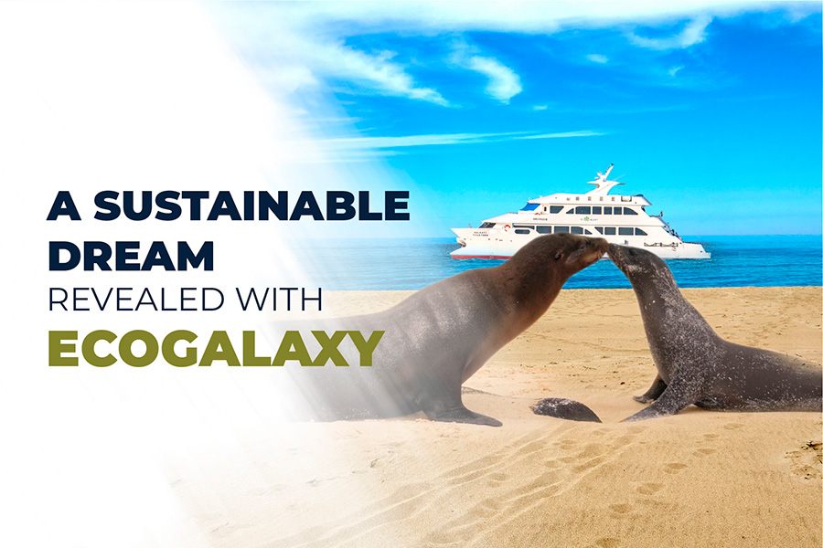 sustainable dream ecogalaxy