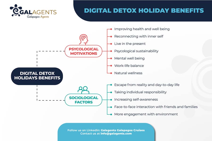digital detox holiday benefits