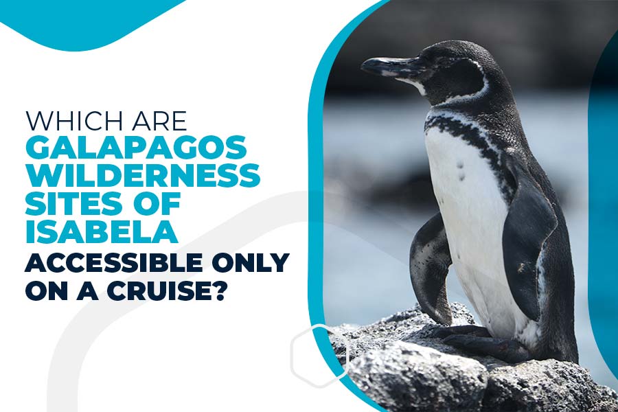 Which are Galapagos wilderness sites of Isabela accessible only on a cruise?
