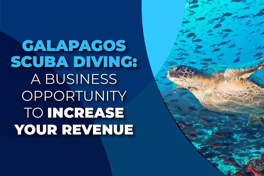Galapagos Diving: A business opportunity to increase your revenue