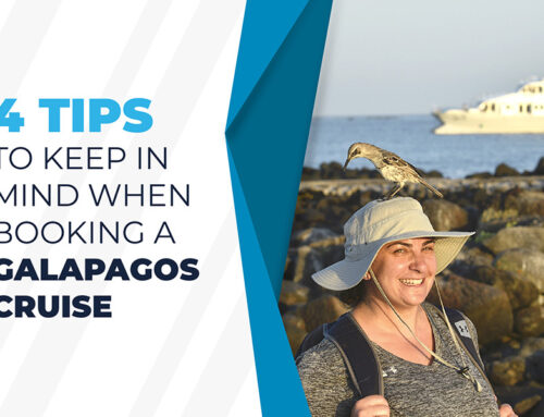 4 tips to keep in mind when booking a Galapagos Cruise