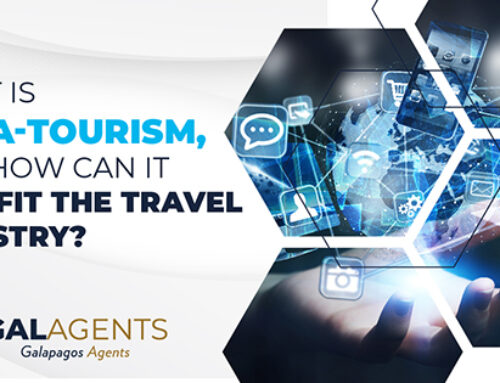 What is Meta-tourism, and how can it benefit the travel industry?