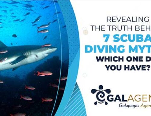 Revealing the Truth behind 7 Scuba Diving Myths. Which one did you have?