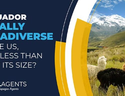 Is Ecuador equally megadiverse as the US, with less than 3% of its size?