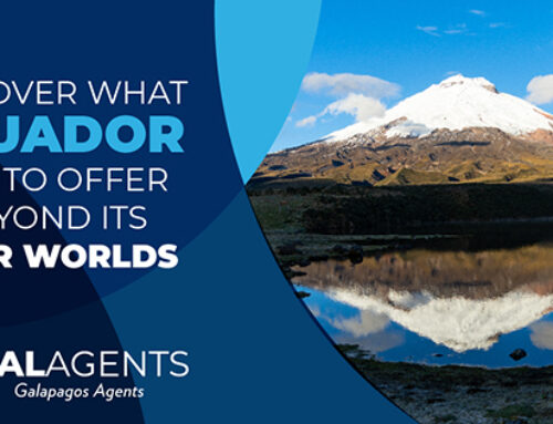 Discover what Ecuador has to offer beyond its four worlds