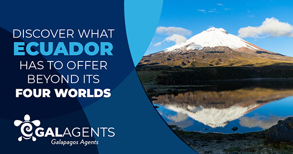 Discover what Ecuador has to offer beyond its 4 worlds by Galagents