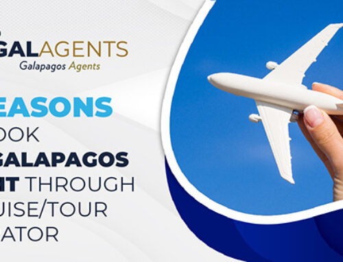 Four reasons to book the Galapagos flight through a Cruise/Tour Operator