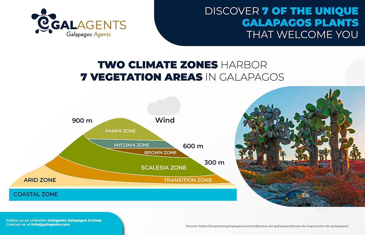 Two climate zones harbor 7 vegetation areas in Galapagos