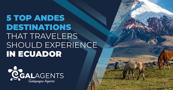 5 Top Andes destination that travelers should experience in Ecuador