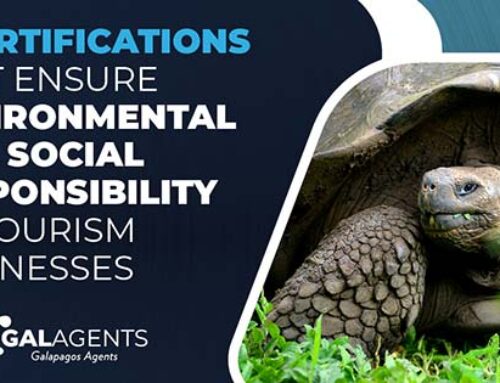 5 certifications that ensure environmental and social responsibility of tourism businesses