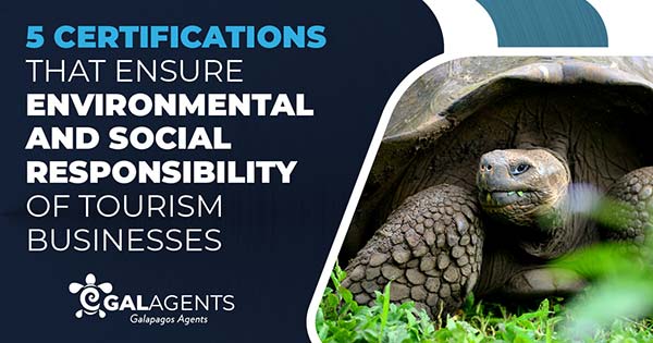5 certifications that ensure environmental and social responsibility of tourism businesses by Galagents banner