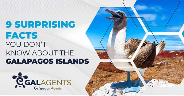 9 surprising facts you don't know about the Galapagos islands by Galagents banner