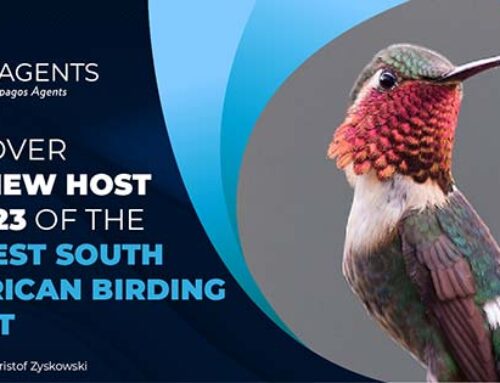Discover the new host of the biggest South American birding event in 2023
