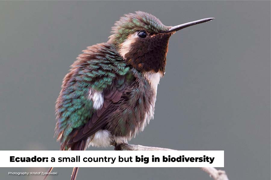Ecuador a small country but big in biodiversity by Galagents