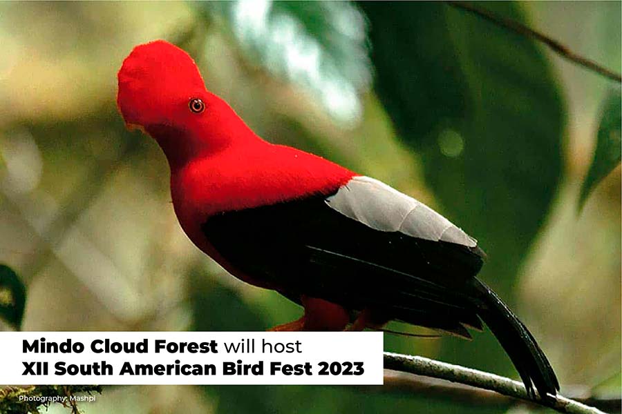 Mindo cloud forest will host XII south American bird fest 2023