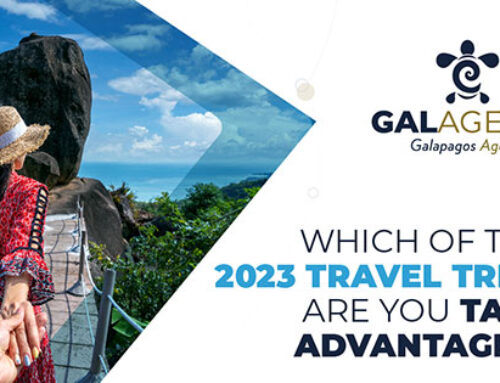 Which of these 2023 travel trends are you taking advantage of?
