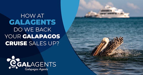 How at galagents do we back your galapagos cruise sales up