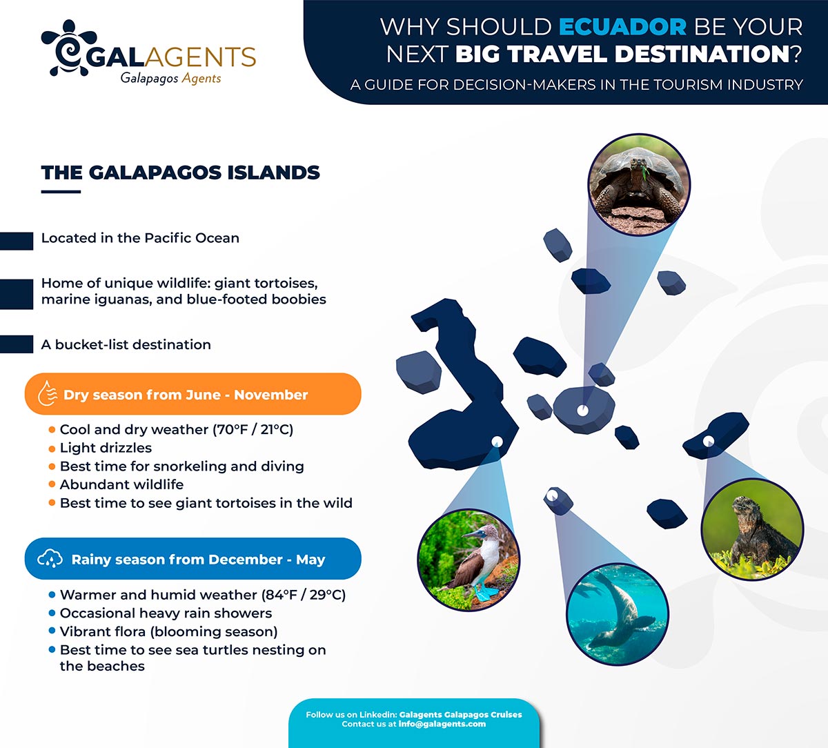 Seasons and diversity why the Galapagos Islands are considered a great tourist destination in Ecuador