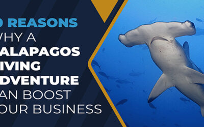 10 reasons why a Galapagos Diving Adventure Can Boost your Business.