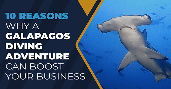 10 reasons why a Galapagos Diving Adventure Can Boost your Business.