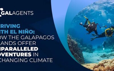 Thriving with El Niño: How the Galapagos Islands Offer Unparalleled Adventures in a Changing Climate