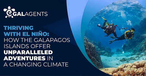 Thriving with El Niño: How the Galapagos Islands Offer Unparalleled Adventures in a Changing Climate