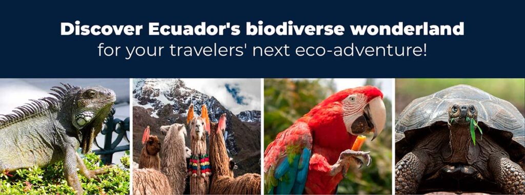 Discover Ecuador biodiverse wonderland by Galagents