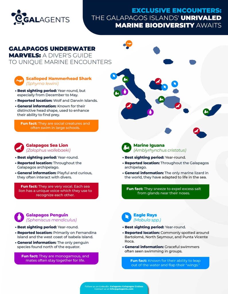 Galapagos Diver guide by marine species Galagents