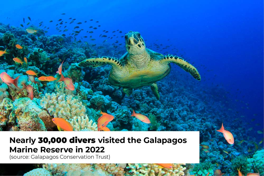 Nearly 30k divers visited Galapagos in 2022 Galagents