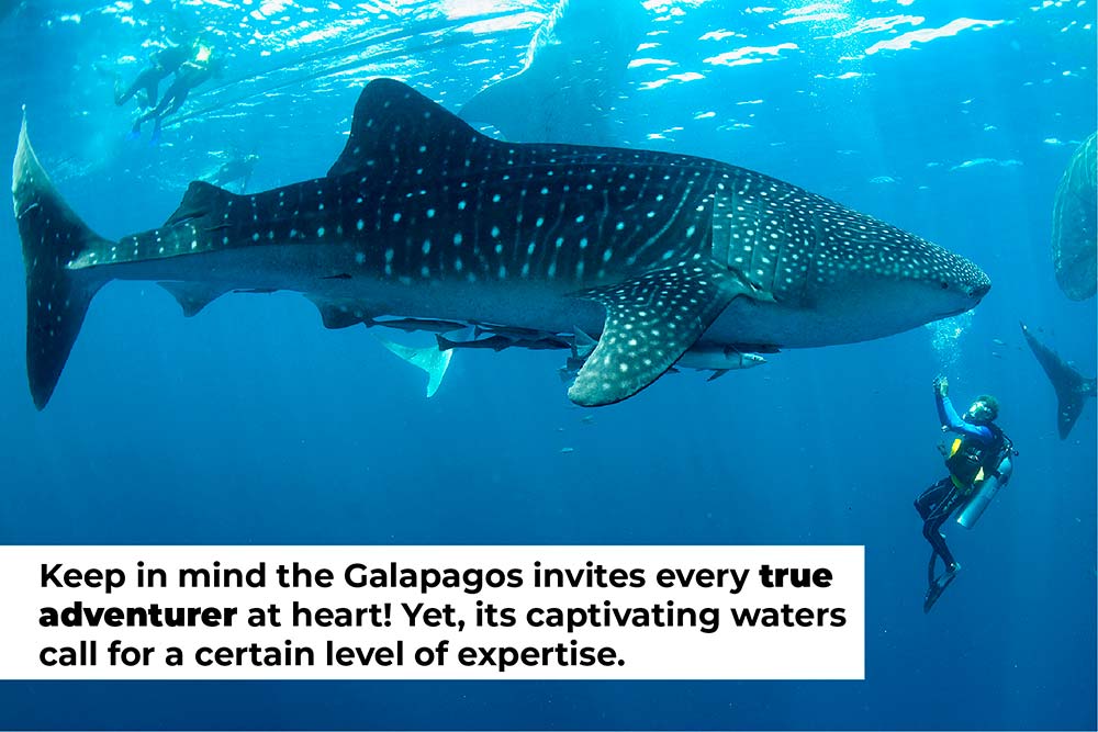 The Galapagos invites every true adventurer at heart Galagents