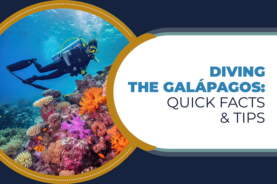 Diving the Galapagos busting myths and sharing top expert queries bw