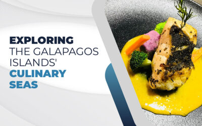 Exploring the Galapagos Islands’ Culinary Seas
