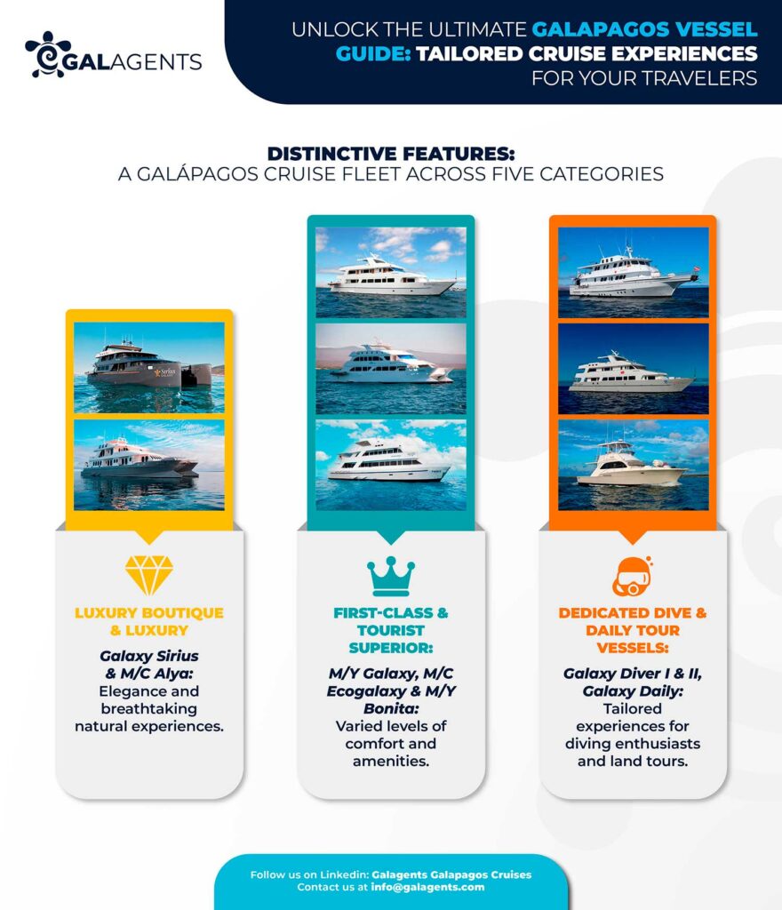 a galapagos cruise fleet across 5 categories by galagents
