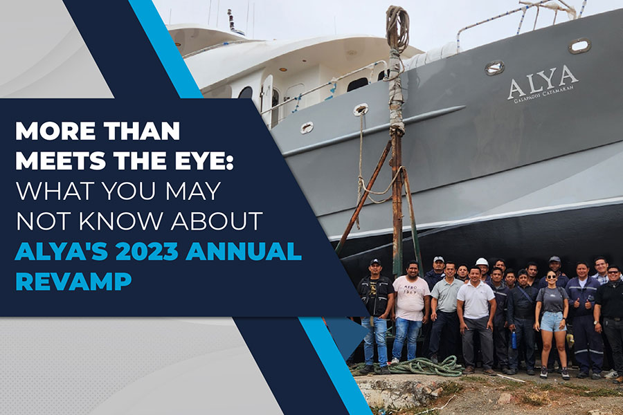 More than Meets the Eye: What you may not know about the Alya’s 2023 Annual Revamp
