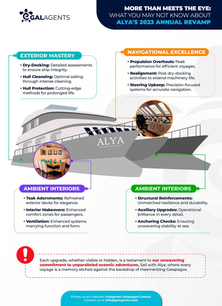 More than Meets the Eye: What you may not know about the Alya's 2023 Annual Revamp