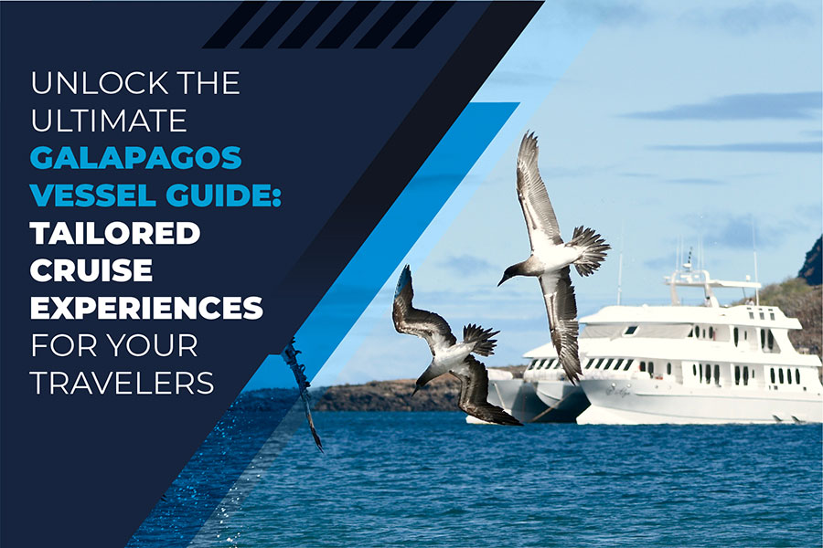 Unlock the Ultimate Galapagos Vessel Guide: Tailored Cruise Experiences for Your Travelers