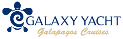Logo Galaxy Yacht